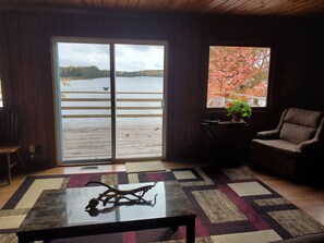 Smart TV, DVD player