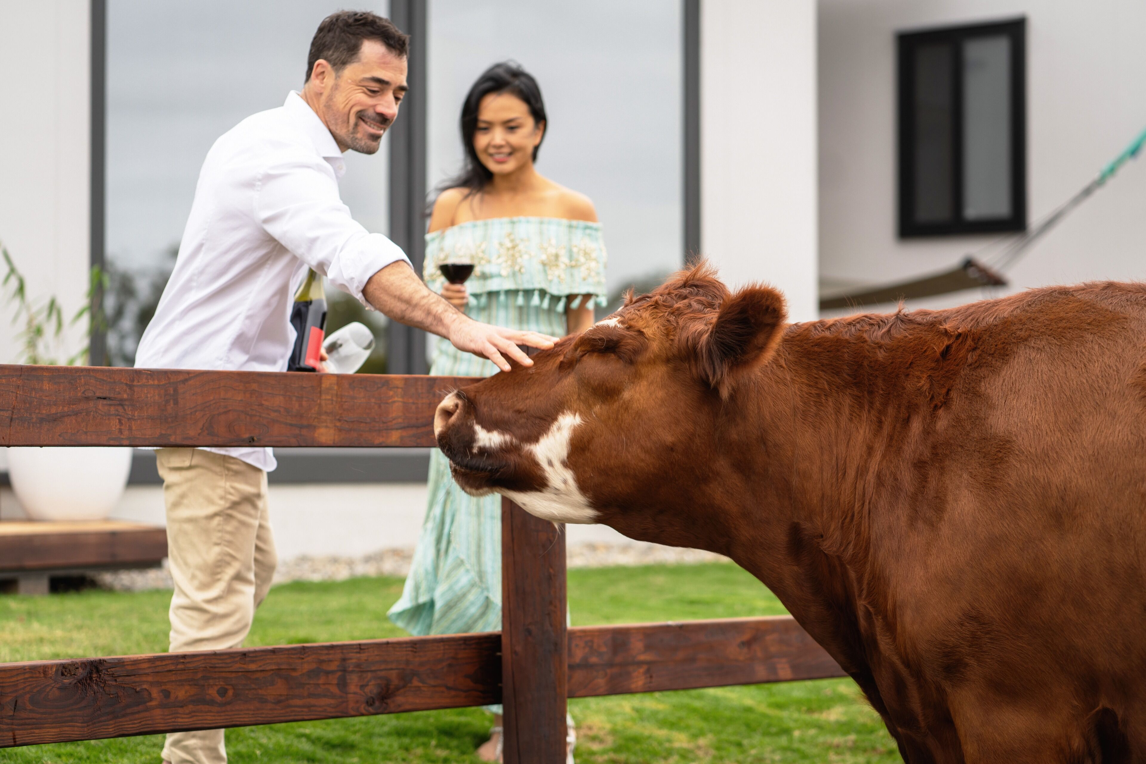 Casa Luna Adelaide Hills — image 4