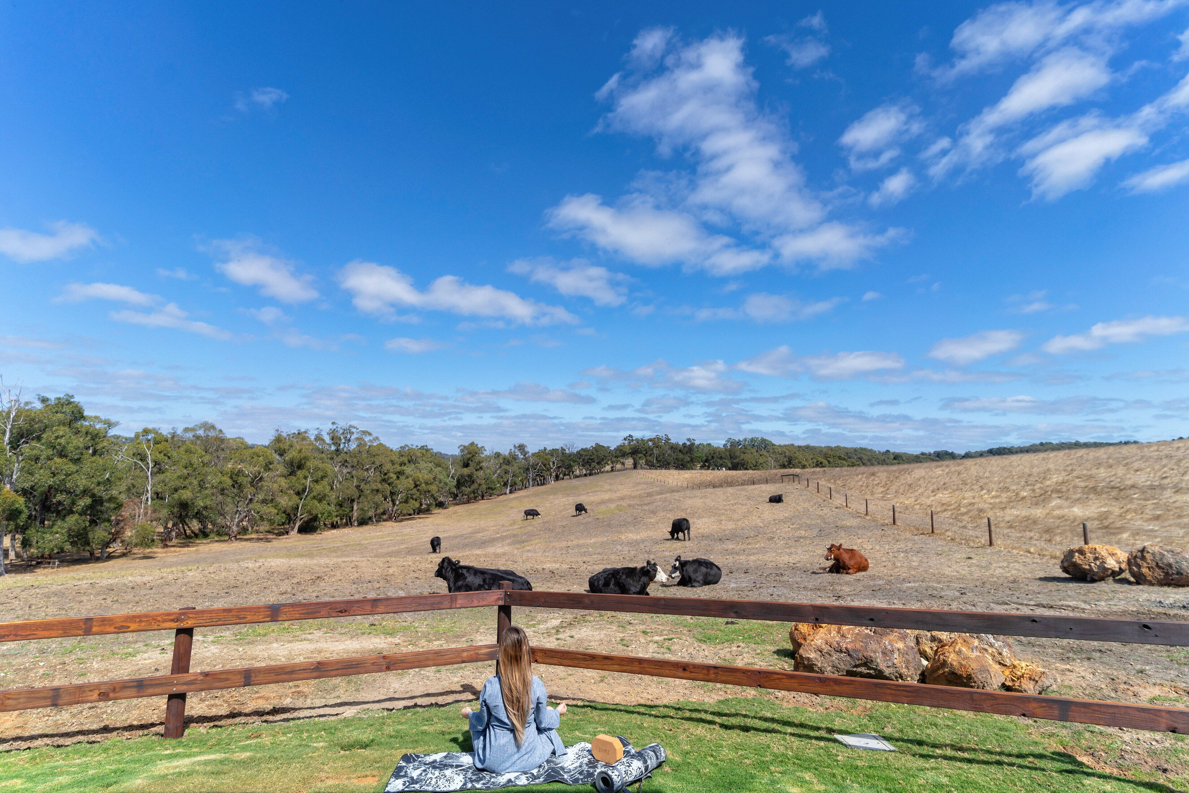 Casa Luna Adelaide Hills — image 22