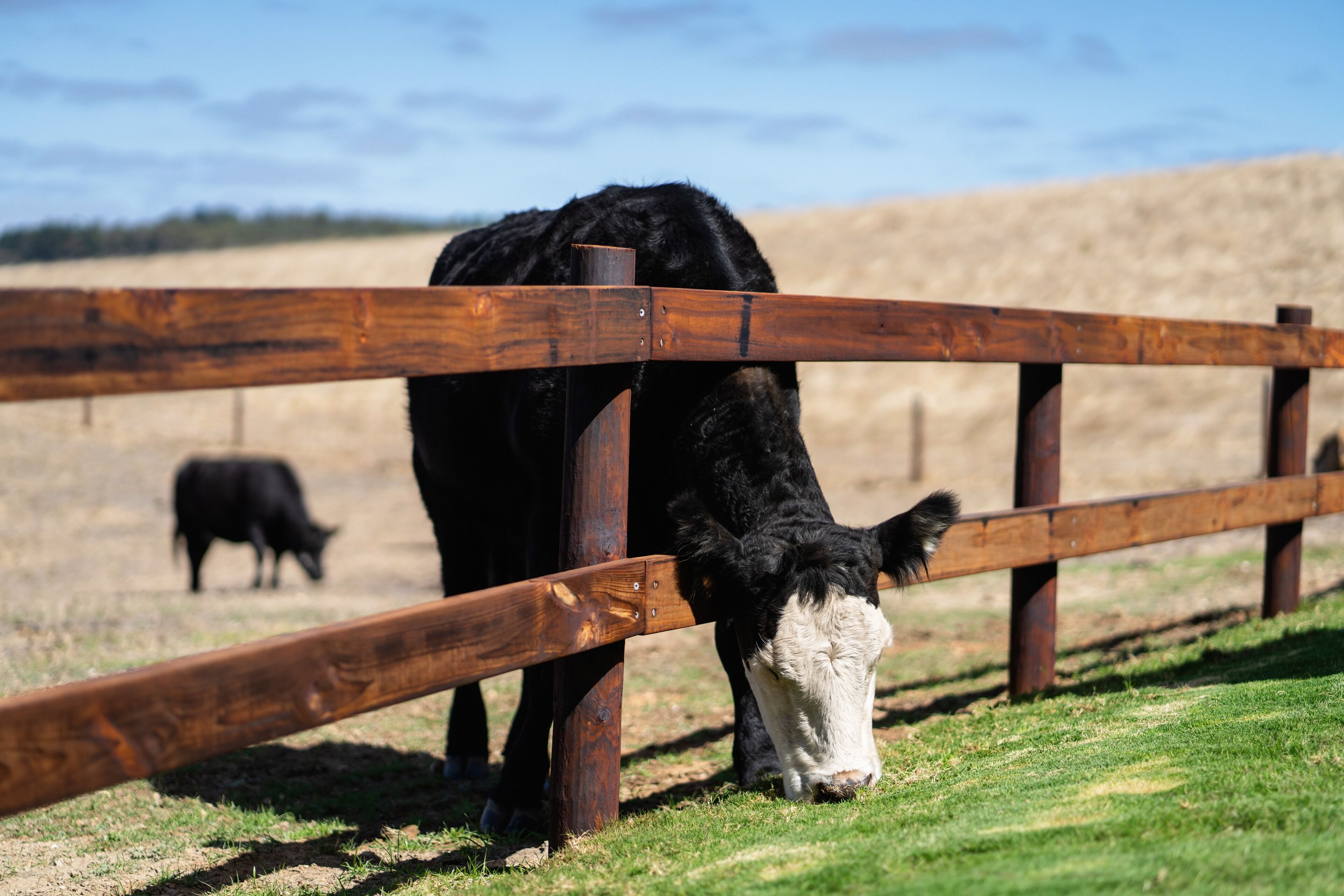 Casa Luna Adelaide Hills — image 23