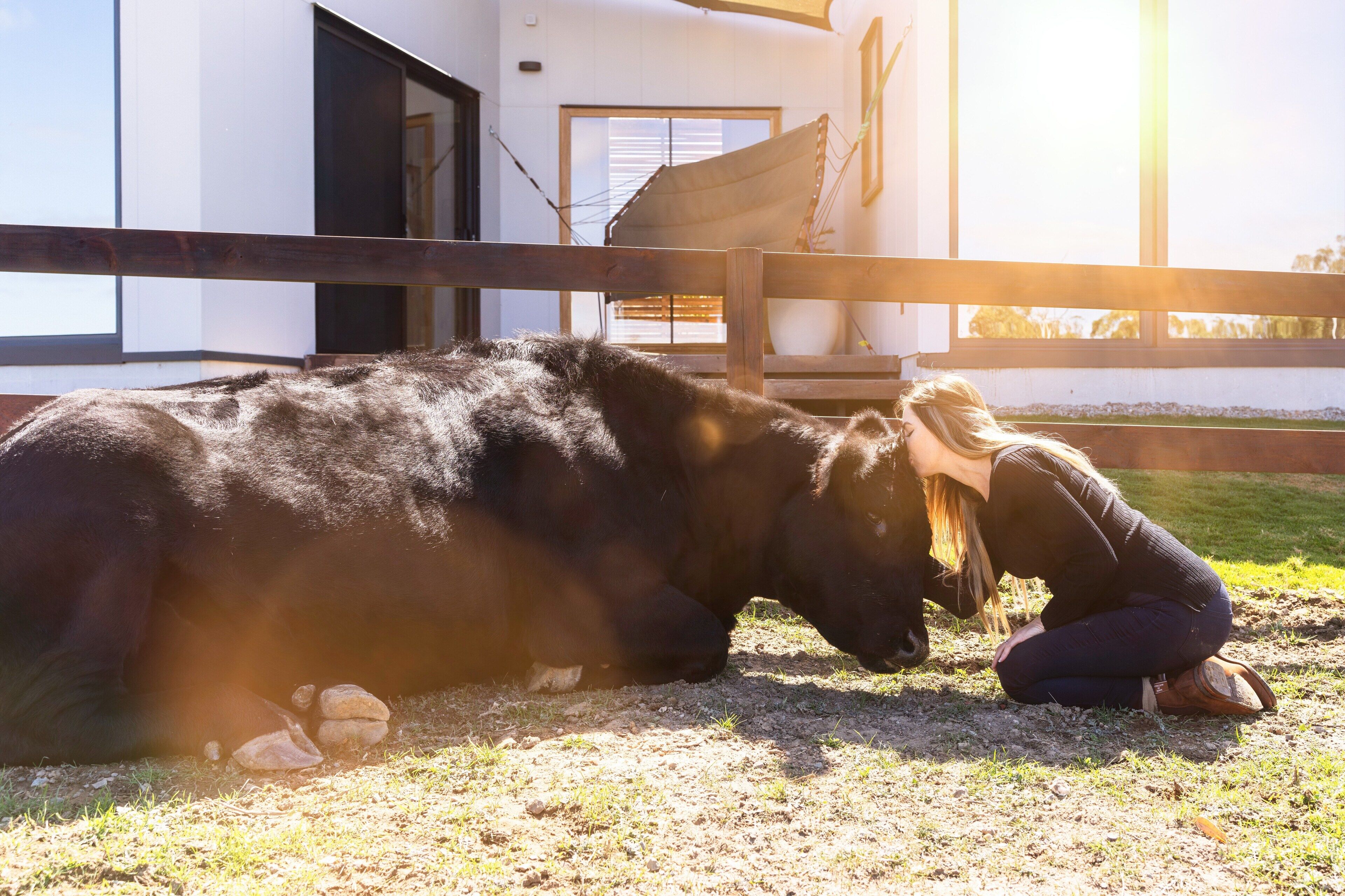 Casa Luna Adelaide Hills — image 5
