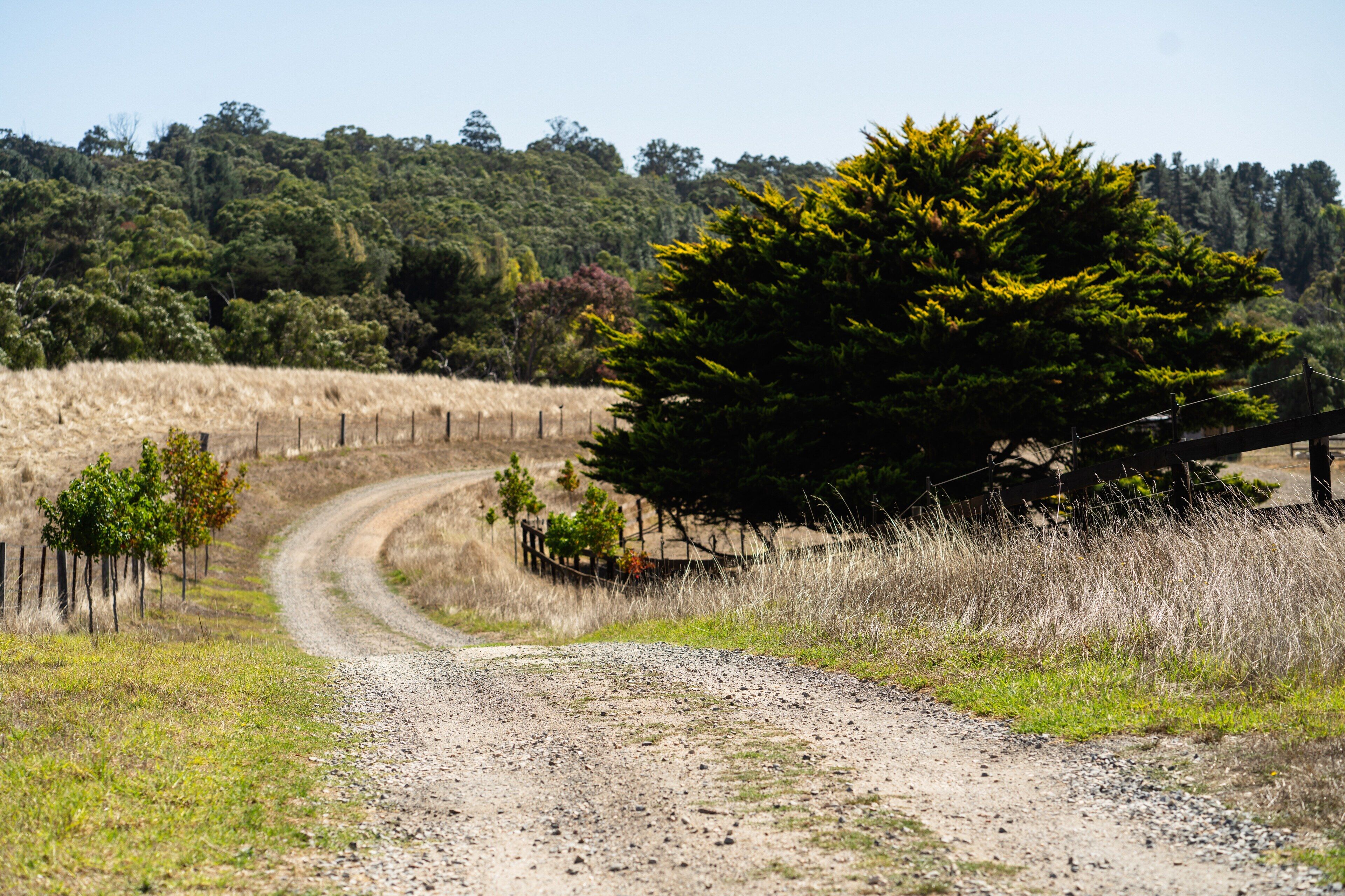 Casa Luna Adelaide Hills — image 25