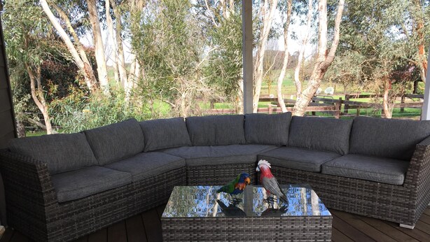 A covered outdoor seating area with a large sectional sofa and a glass coffee table. - Modern Cottage in peaceful setting, dog door to large fenced yard, farm walks.  (Mil-lel)