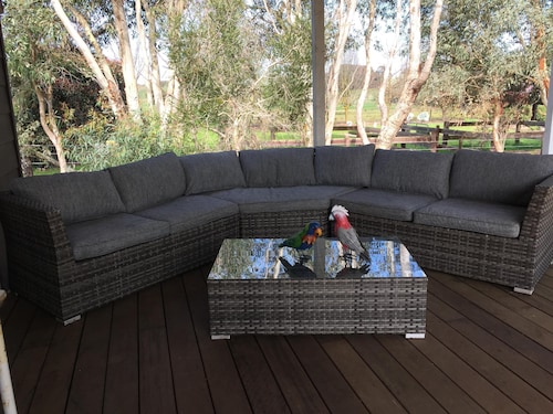 Modern Cottage in peaceful setting, dog door to large fenced yard, farm walks. 