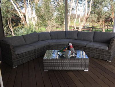 Modern Cottage in peaceful setting, dog door to large fenced yard, farm walks. 