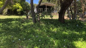 A house with a covered porch, surrounded by lush greenery and trees. - Modern Cottage in peaceful setting, dog door to large fenced yard, farm walks.  (Mil-lel)