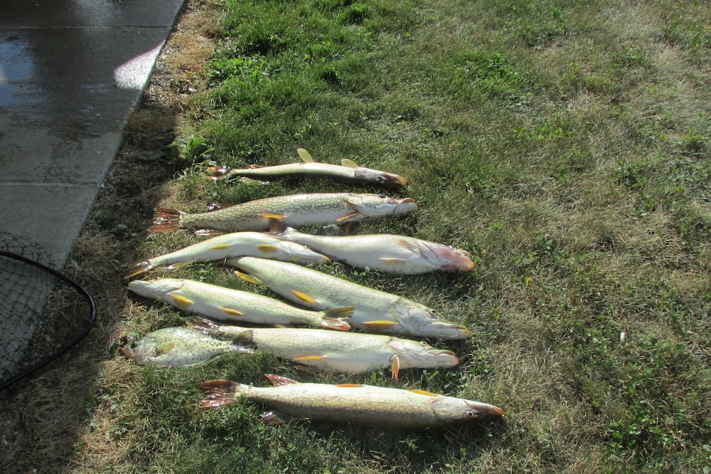 The Fish House--Available for short term rental. Located in the heart of the