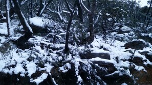 A snowy forest with large rocks and trees covered in snow. - Amaroo Retreat Halls Gap, Free unlimited WIFI... (Halls Gap)