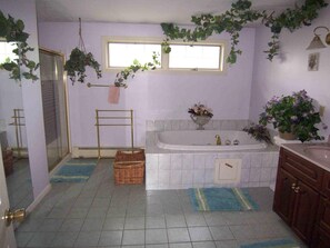 Combined shower/bathtub, hair dryer, towels, toilet paper