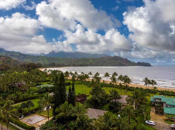 A coastal landscape with a beach, palm trees, and a view of the ocean.