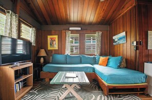 Smart TV, DVD player, books