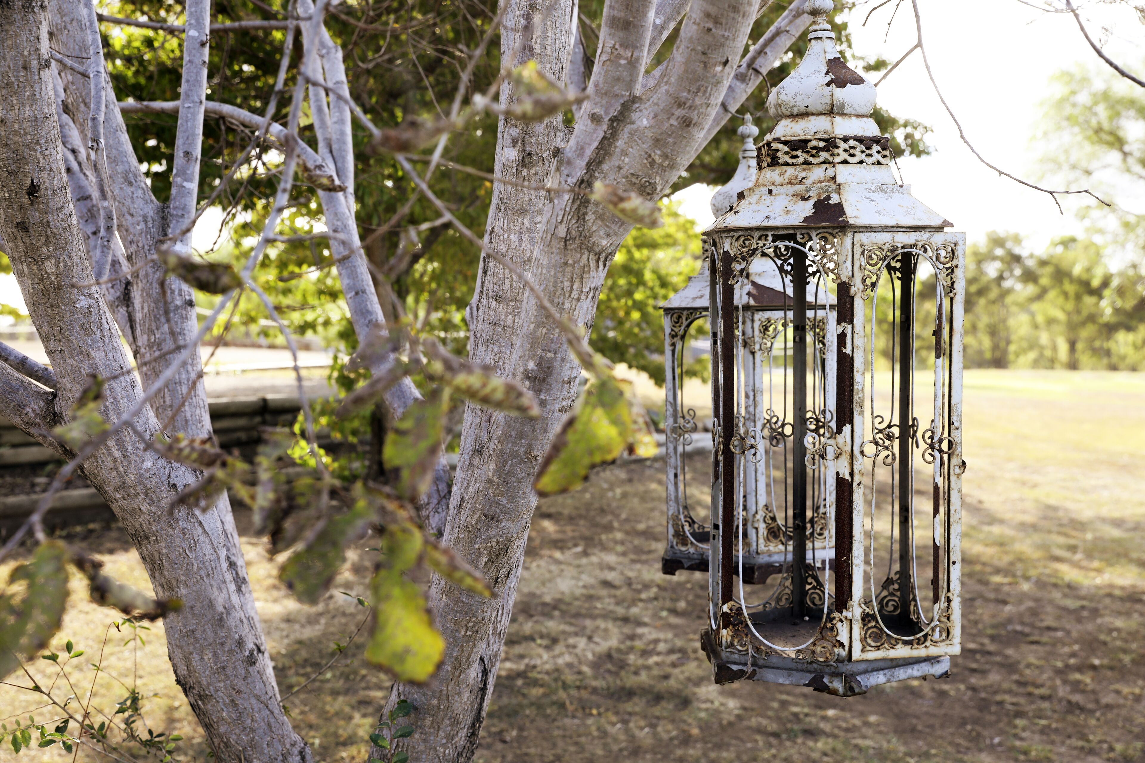 Willow Tree Estate - Luxurious whole of house accommodation -Sleeps 40-Stunning  — image 28