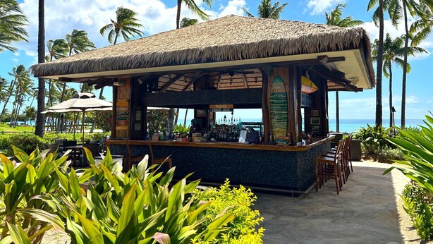 A beachside bar with a thatched roof, outdoor seating, and a view of the ocean.