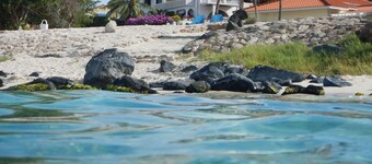 Beachwhitevilla garden apt C,BEST BEACH/ SNORKEL 60ft away ,king bed, SEPT. spec