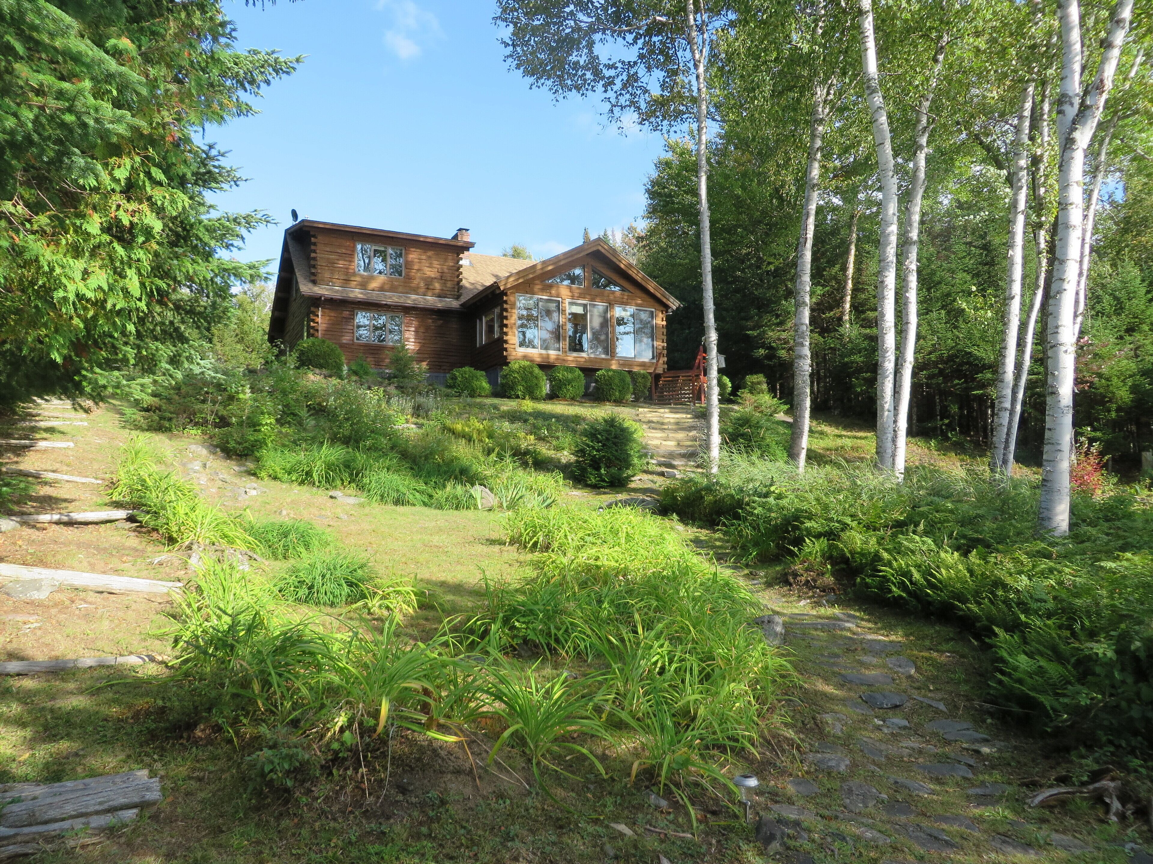 Une cabane en bois rustique, accessible par un sentier de pierres, entourée d’une végétation luxuriante et de bouleaux.