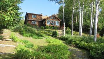 Une cabane en bois rustique, accessible par un sentier de pierres, entourée d’une végétation luxuriante et de bouleaux.