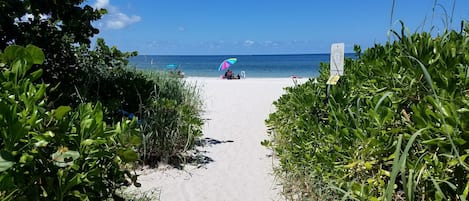 Nära stranden, solstolar och strandhanddukar