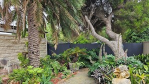 A garden with a paved pathway, various plants, and a statue.