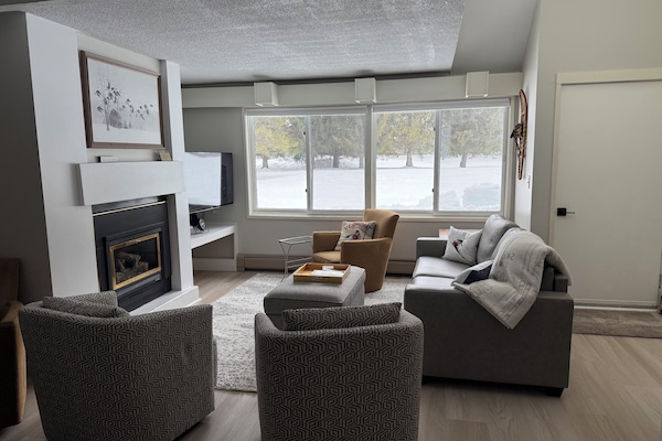 Smart TV, fireplace, video games, DVD player