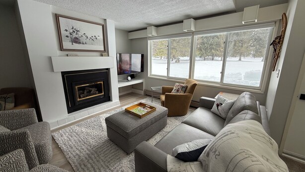 Una sala de estar moderna con chimenea, televisor y un amplio ventanal con vistas a un paisaje nevado.