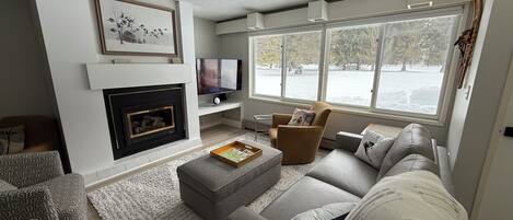 TV connectée, cheminée, jeux vidéo, lecteur de DVD