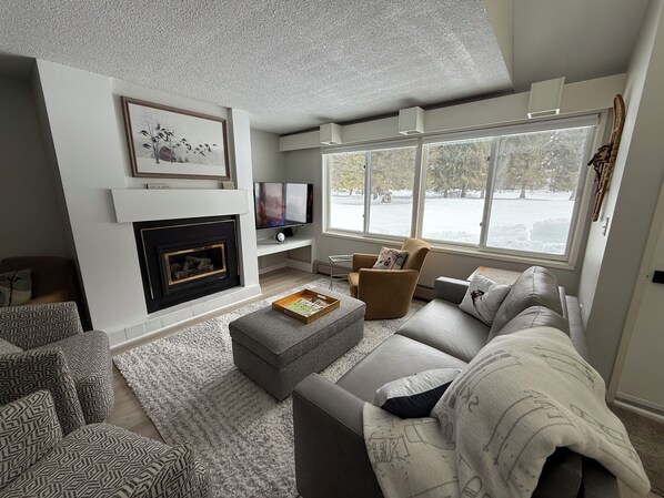 TV connectée, cheminée, jeux vidéo, lecteur de DVD