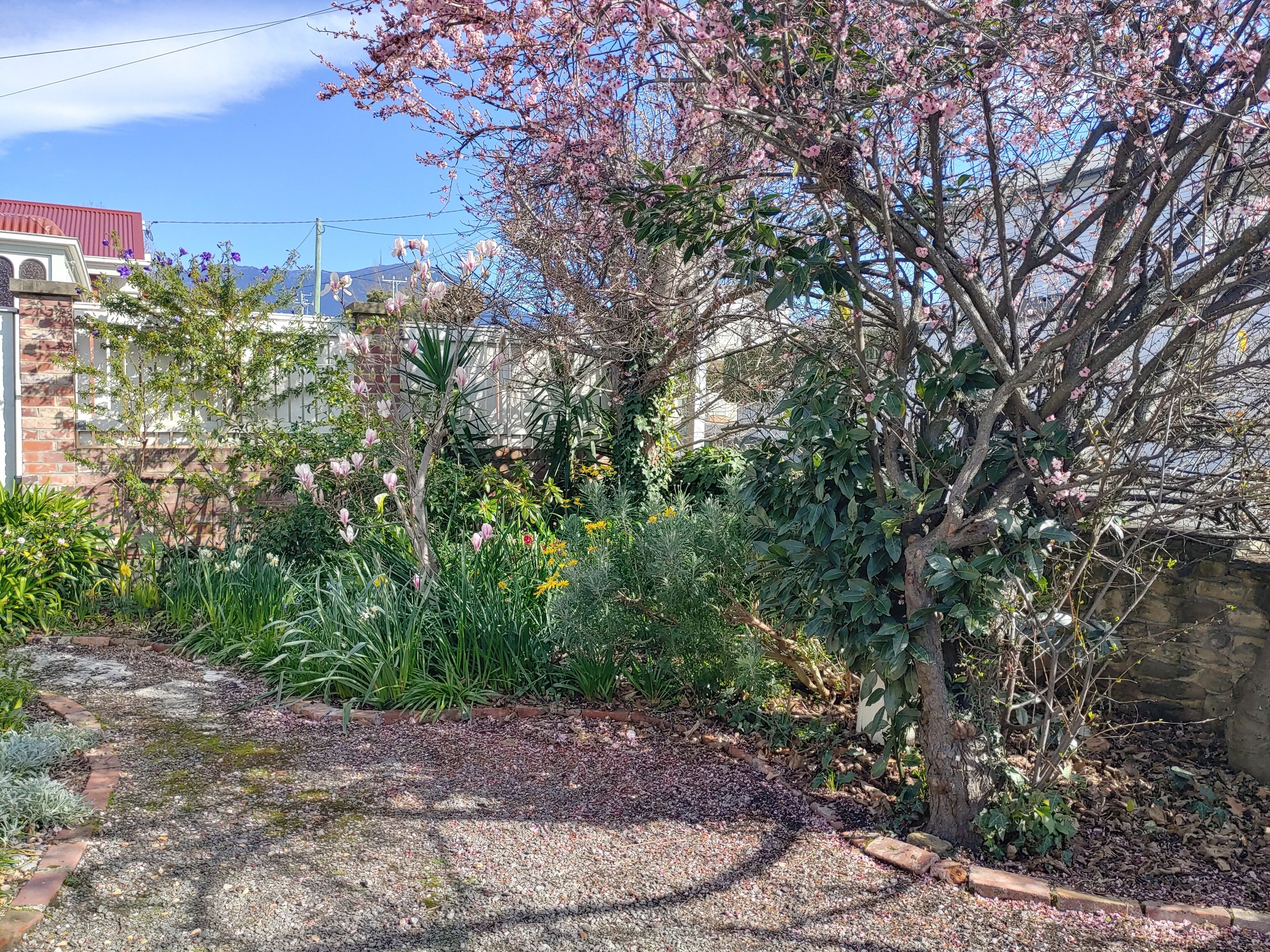 COTTAGE ON KING STREET SANDY BAY — image 15