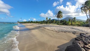 A beach with clear turquoise water, sandy shore, and palm trees.