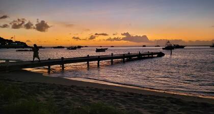 Nevis, ranta edessä huvila uima-allas vieressä Nisbet Plantation
