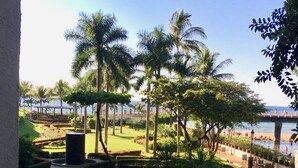 Un jardín ajardinado con palmeras, un césped bien cuidado y vistas a la playa y al océano.