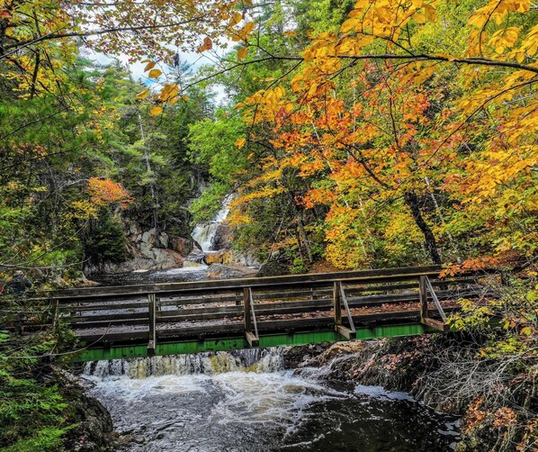 Eine Holzbrücke über einem Wasserfall in einem bewaldeten Gebiet mit Herbstlaub.