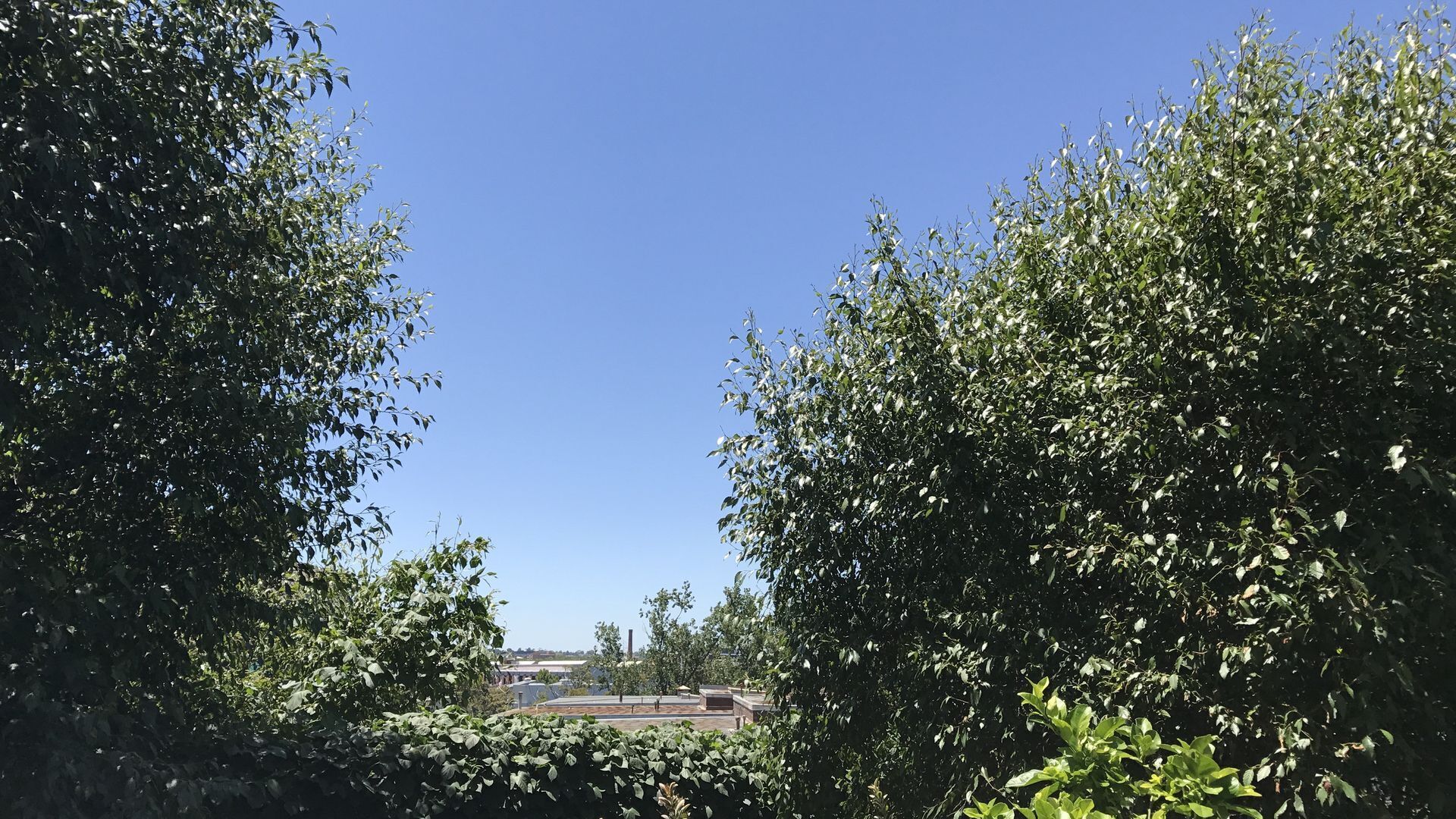 The Residence - Domain — image 15