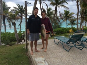 Áreas de la propiedad