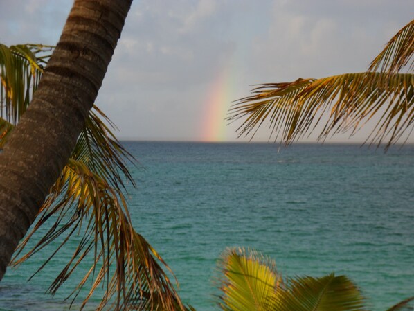 Accommodatie ligt op het strand, ligstoelen, strandlakens