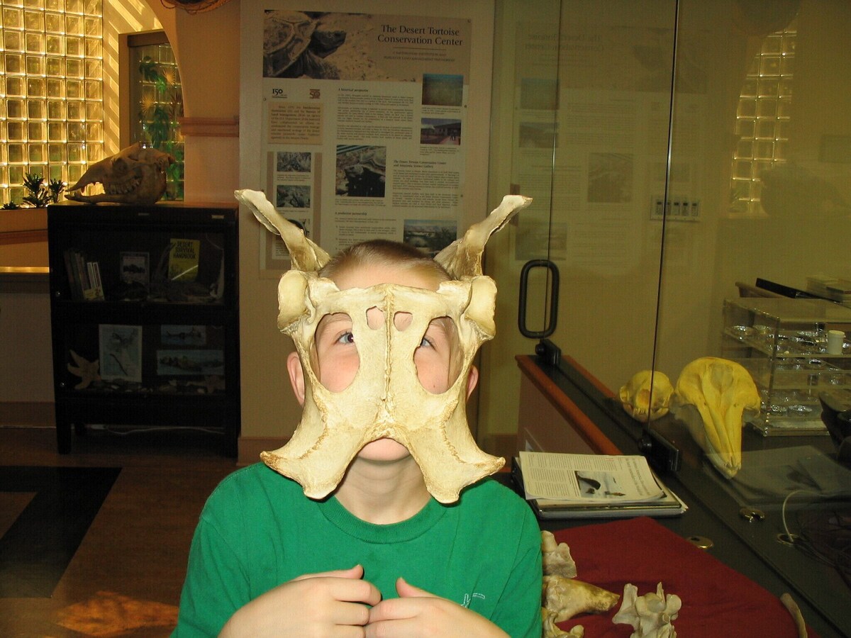 Heart of the City - HalfBlock to METRO - Columbia Heights.