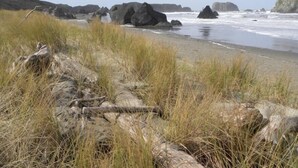 A coastal landscape with rocky outcrops and grassy dunes. - Dunes House at Bandon - 3 bedroom Oceanfront (Bandon)