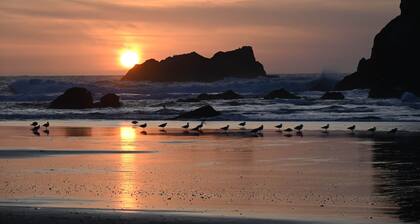 Dunes Casa en Bandon - Million Dollar Views derecha en la playa !!