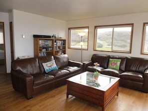 Smart TV, DVD player, books