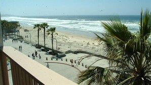 Une plage bordée de palmiers, une promenade et l’océan.