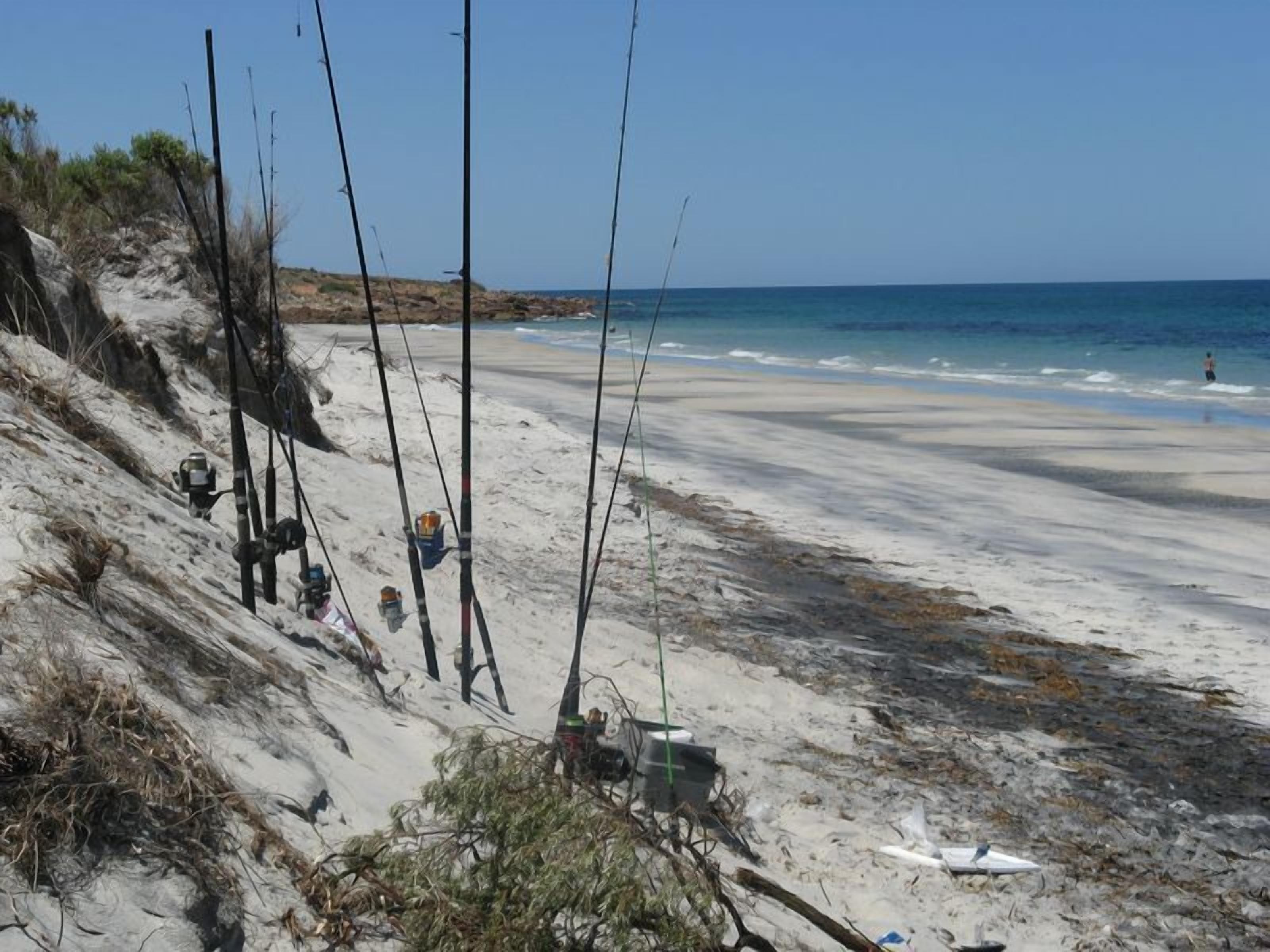 Playa en los alrededores y camastros 