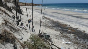Una playa arenosa con cañas de pescar y equipo.