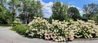 Country Coastal Cottage 3 min. from beach.