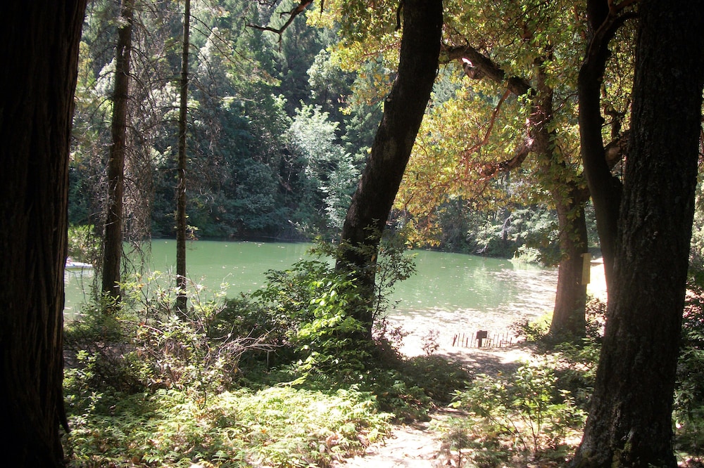 Lagunita- lakeside cabin w/ 2 bunkhouses & HOT TUB! $300. Per night for all 3!!