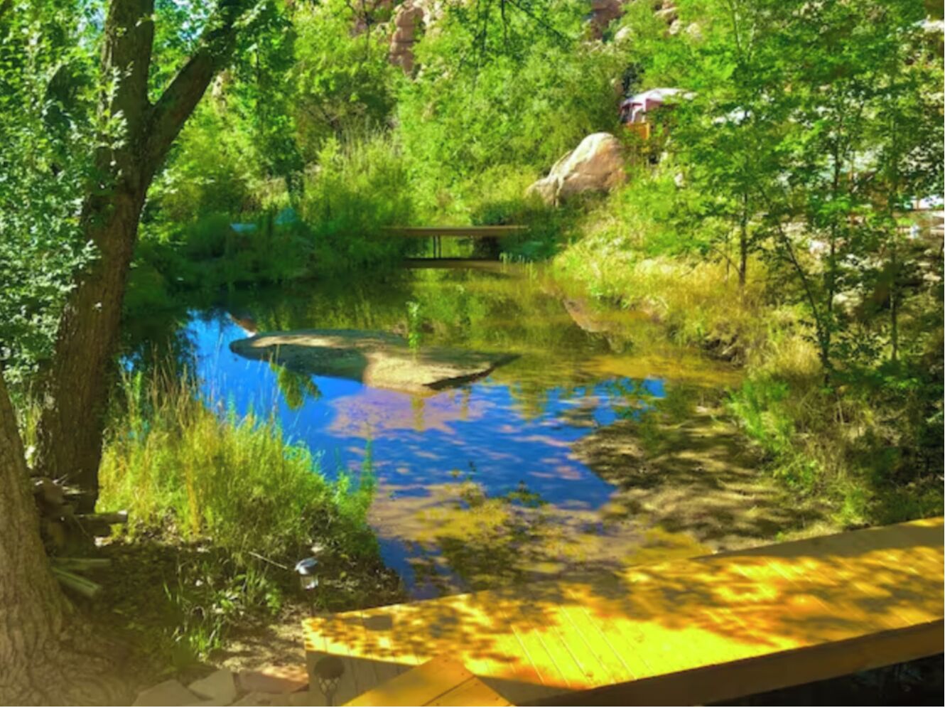 Un espace extérieur aménagé, avec un étang, des arbres et un pont en bois.