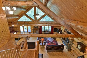 Smart TV, fireplace, DVD player, books