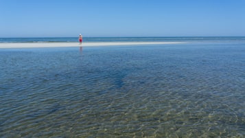 Playa en los alrededores y camastros