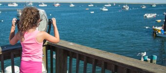 Large, Charming Cape Cod Home Close To Orleans And Chatham Beaches