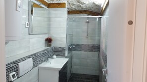 Regadera, secadora de cabello, toallas, papel de baño 