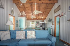 Smart TV, Netflix, DVD player, books