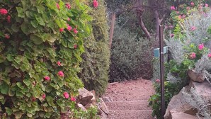 A garden pathway with steps leading up to a gate, surrounded by greenery and rocks. -  ASTLEY  COTTAGE   SPA & KING BED WITH FREE  WIFI & Netflix (Daylesford)
